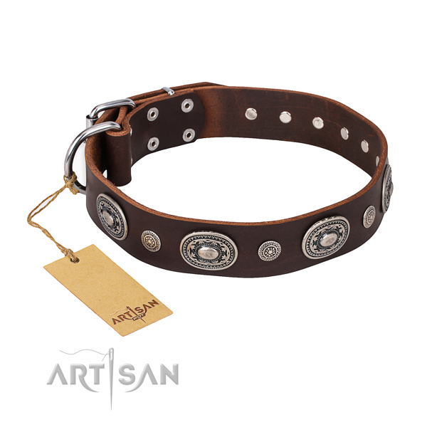 Fashionable design embellishments on natural genuine leather dog collar