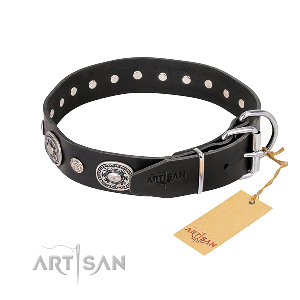 Everyday leather collar for your darling canine