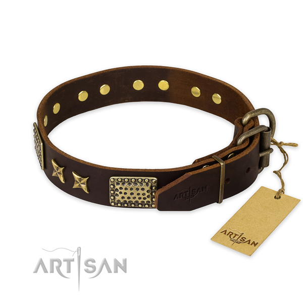 Everyday walking full grain natural leather collar with decorations for your four-legged friend