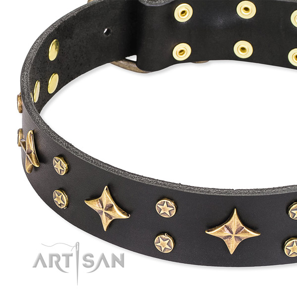 Easy to put on/off leather dog collar with extra strong brass plated buckle