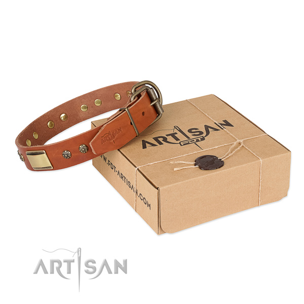 Fine quality natural genuine leather dog collar for everyday use