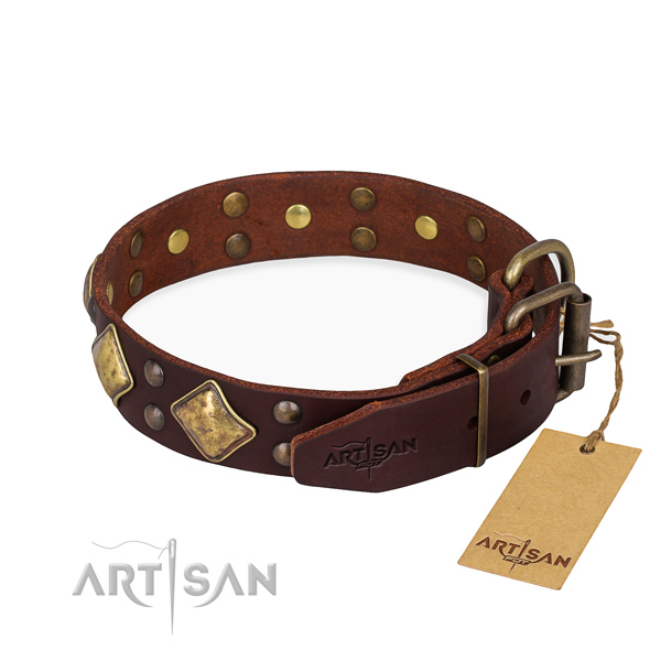 Stylish leather collar for your beloved four-legged friend