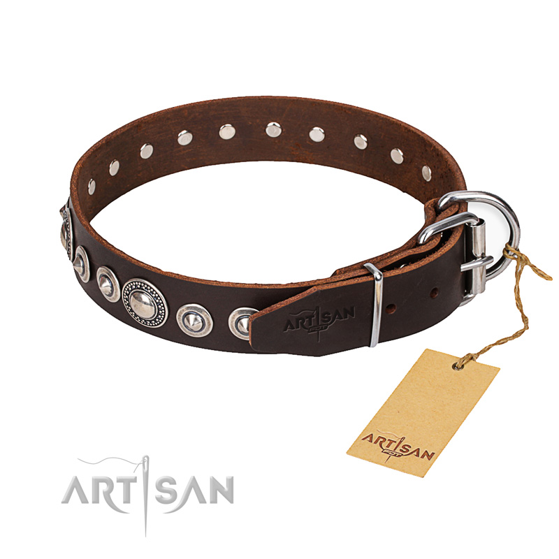Versatile leather collar for your darling four-legged friend