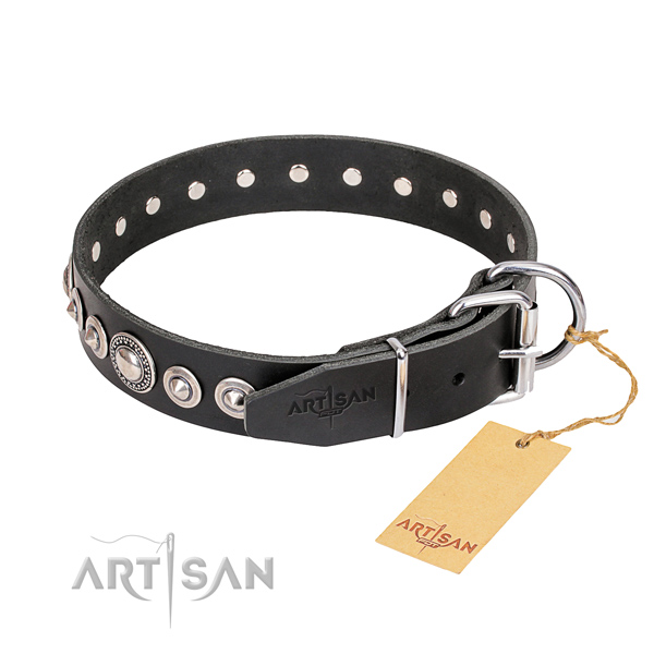 Everyday leather collar for your beloved canine