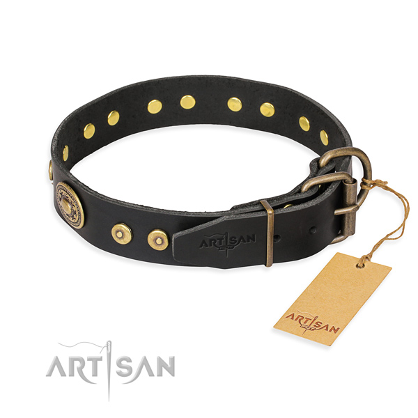 Everyday leather collar for your beloved four-legged friend