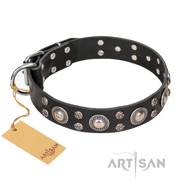 Durable leather dog collar with sturdy fittings