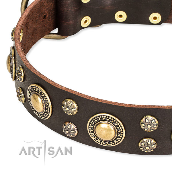 Easy to put on/off leather dog collar with extra sturdy fittings