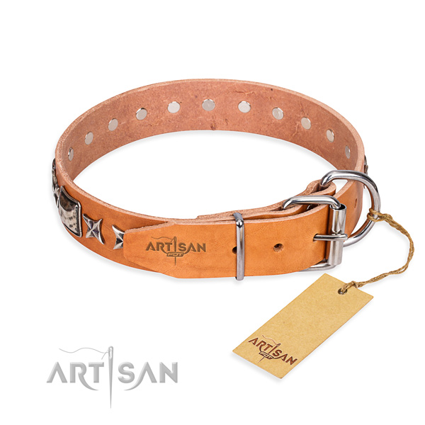 Wear-proof leather collar for your favourite four-legged friend