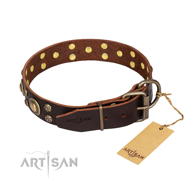 Multifunctional leather collar for your noble dog