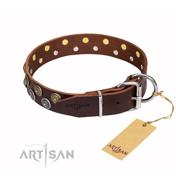 Tear-proof leather collar for your elegant four-legged friend