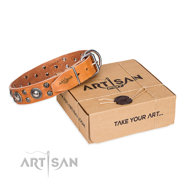 Day-to-day leather dog collar with amazing embellishments