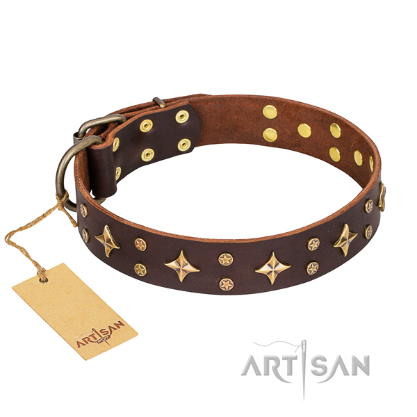 Long-wearing leather dog collar with brass plated elements