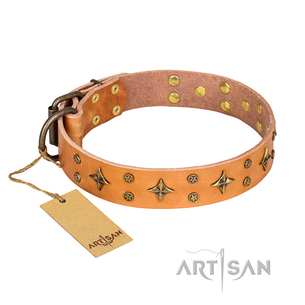 Reliable leather dog collar with non-corrosive fittings