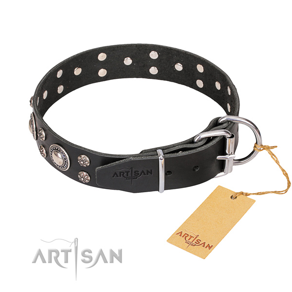 Full grain genuine leather dog collar with thoroughly polished exterior