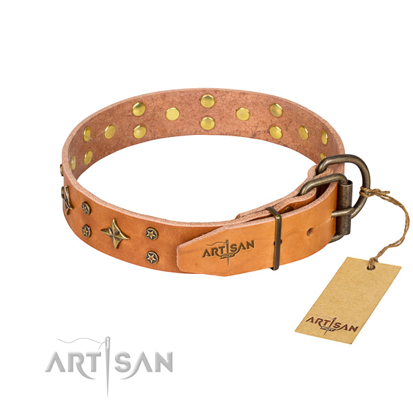 Functional leather collar for your darling four-legged friend