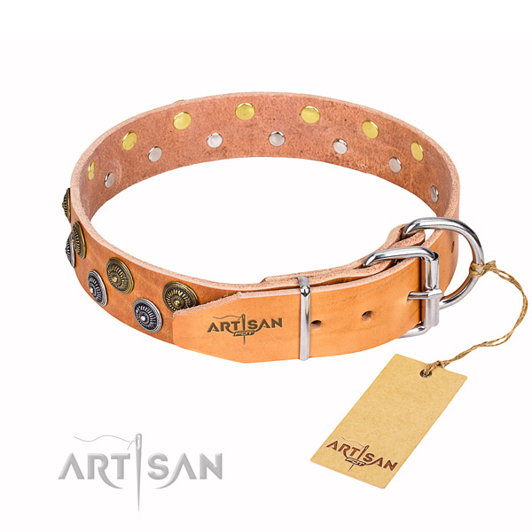 Dependable leather dog collar with corrosion-resistant hardware