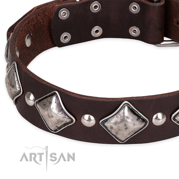 Quick to fasten leather dog collar with resistant to tear and wear chrome plated set of hardware