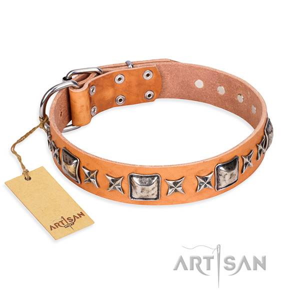 Sturdy leather dog collar with durable elements