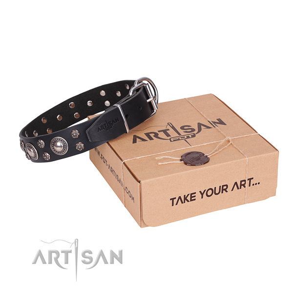 Casual leather dog collar with cute adornments