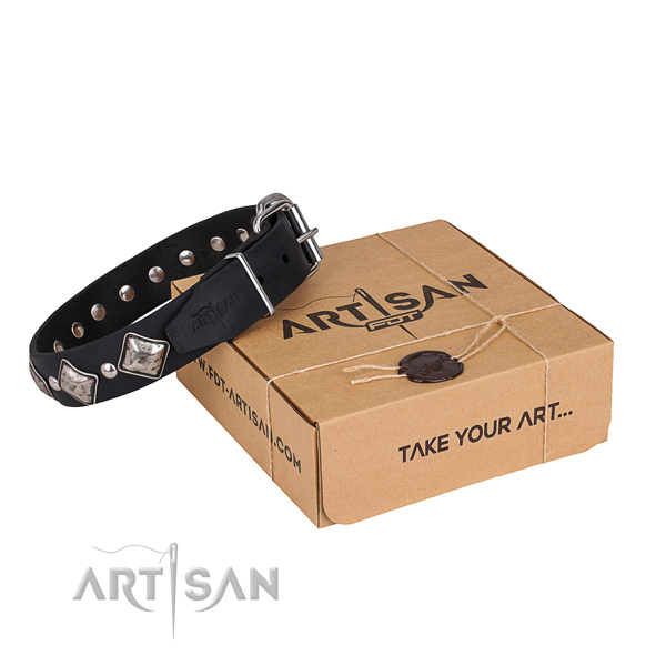 Everyday leather dog collar with exciting studs