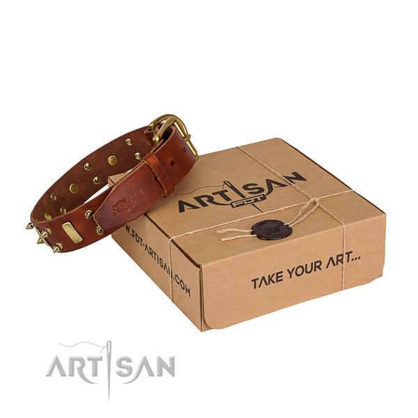 Casual leather dog collar with refined adornments