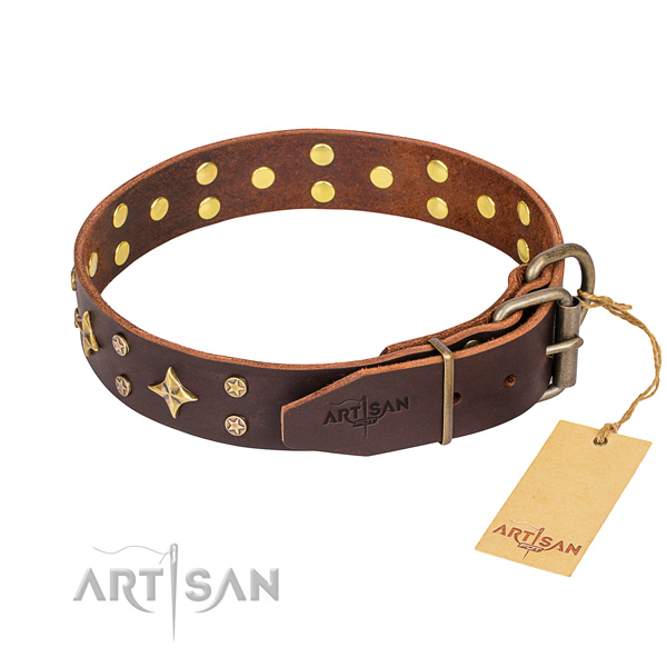 Daily leather collar for your handsome four-legged friend