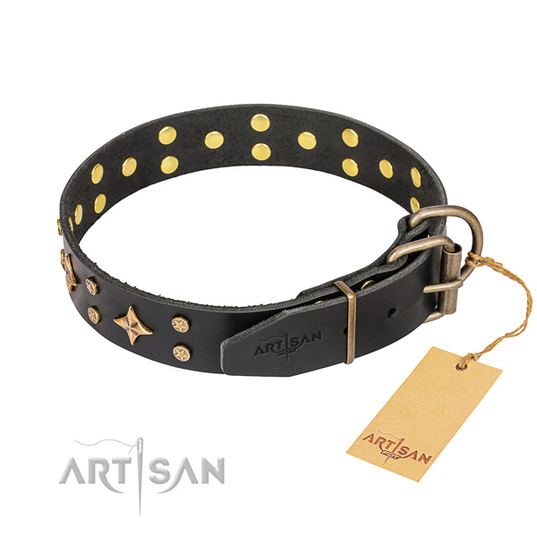 Stylish leather collar for your elegant four-legged friend