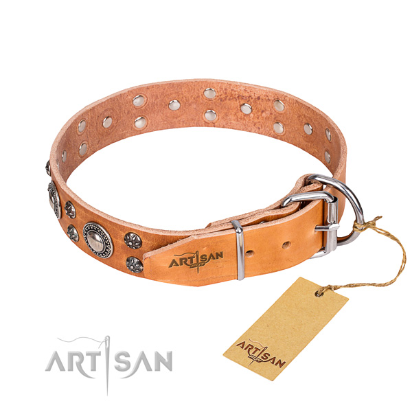Versatile leather collar for your darling dog