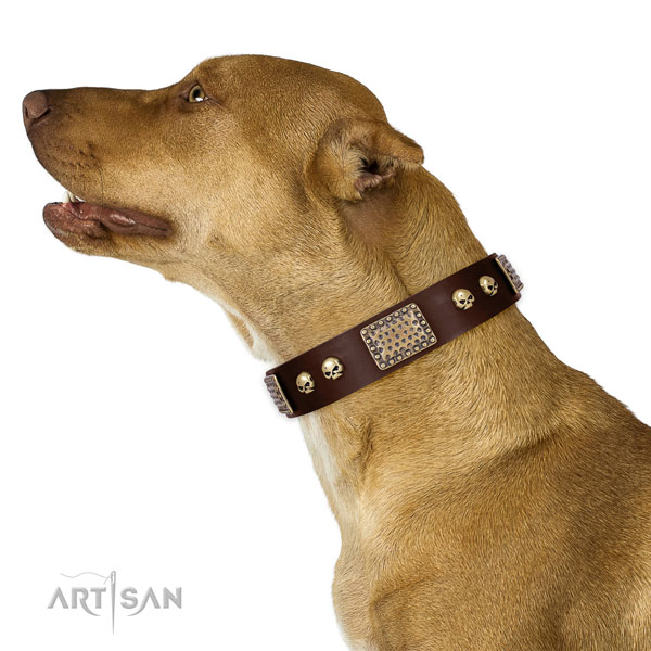 Strong traditional buckle on full grain genuine leather dog collar for everyday use