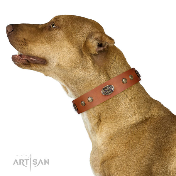 Strong traditional buckle on Genuine leather dog collar for walking