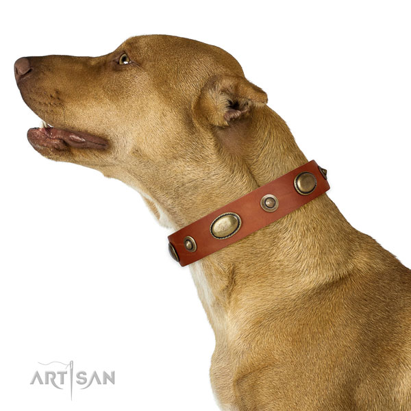 Easy wearing dog collar of genuine leather with exquisite adornments