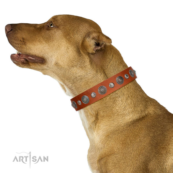 Extraordinary leather dog collar with rust-proof D-ring