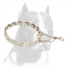 Pitbull Solid Stainless Steel Pinch Collar