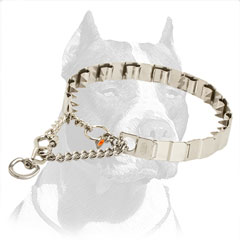 Pinch Collar Stainless Steel Collar for Pitbull