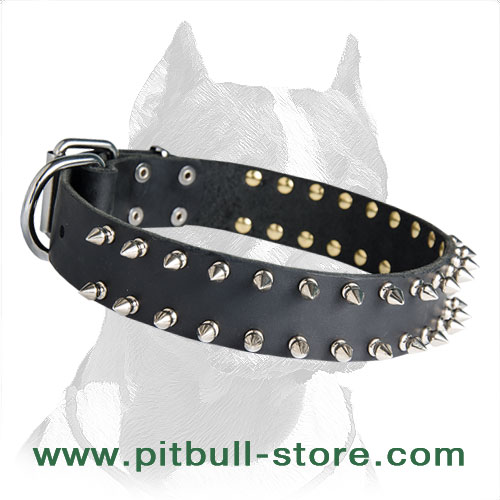 Leather collar for Pitbull non toxic material