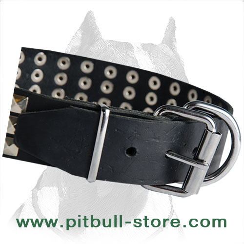 Pitbull collar leather with corrosion resistant fittings