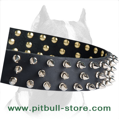 Collar leather for Pitbull extra durable