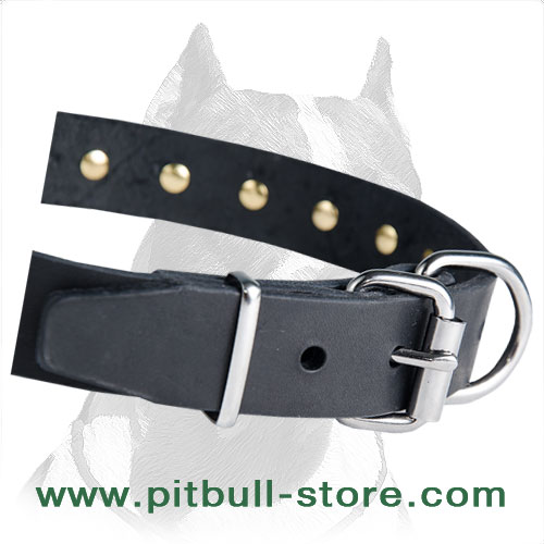 Collar leather for Pitbull with hand set spikes