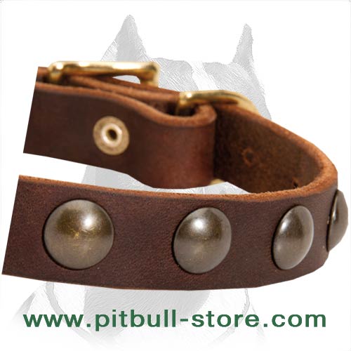 Collar leather for Pitbull durable material