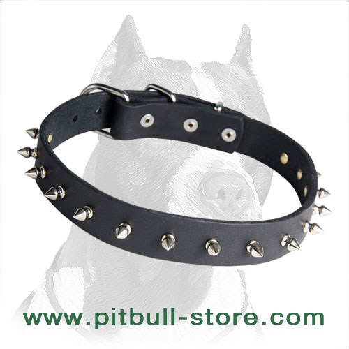 Collar leather for Pitbull durable hardware