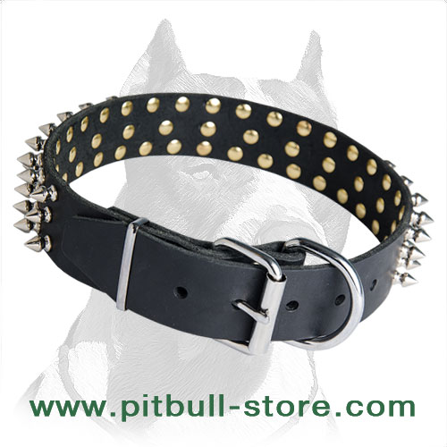 Leather collar for Pitbull corrosion proof