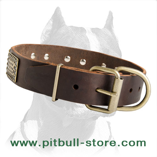 Pibull leather collar durable material