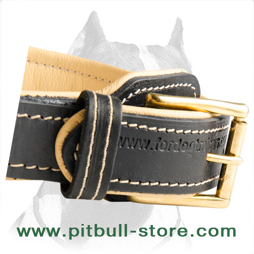 Pitbull collar leather with rust resistant buckle