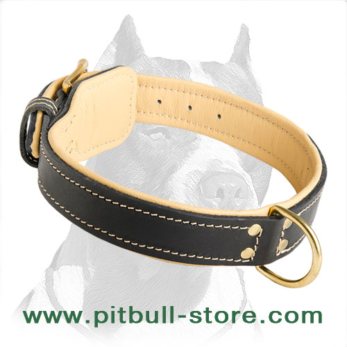 Pitbull leather collar extra durable