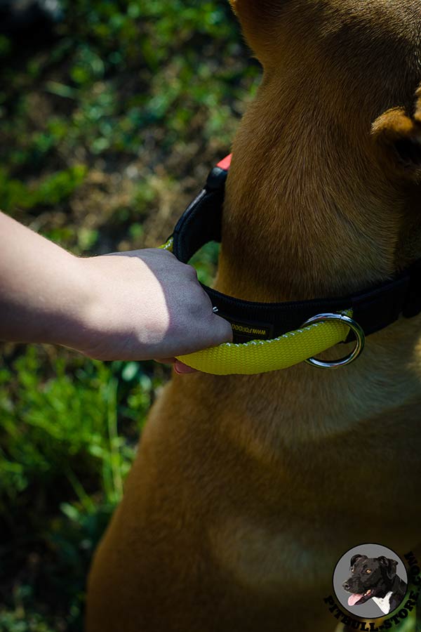 Nylon Pitbull dog collar with extra strong handle 