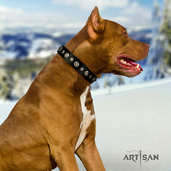 Pitbull fine quality natural genuine leather dog collar with inimitable decorations
