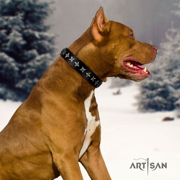 Pitbull adjustable leather dog collar with stunning decorations