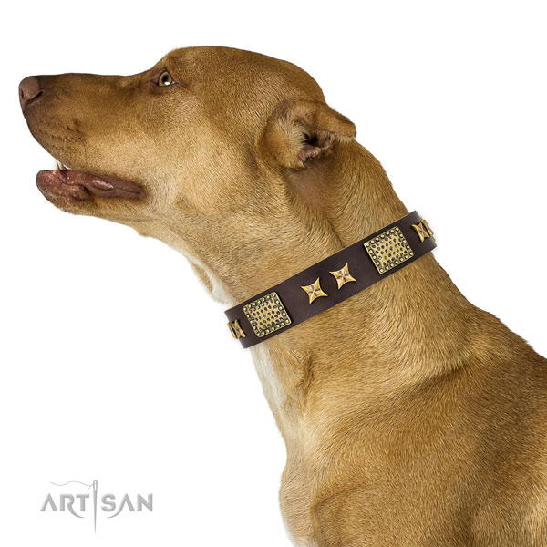 Pitbull awesome leather dog collar for daily use