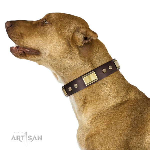Pitbull unusual full grain natural leather dog collar for fancy walking