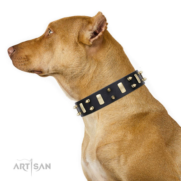 Pitbull decorated full grain leather dog collar for daily use